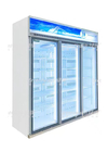 La vertical 5 acoda grado comercial del congelador -22 de la exhibición de 2 puertas