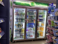 0 - 10℃ -18 ~ refrigerador comercial de la bebida de -22℃ con el sistema de control del termóstato