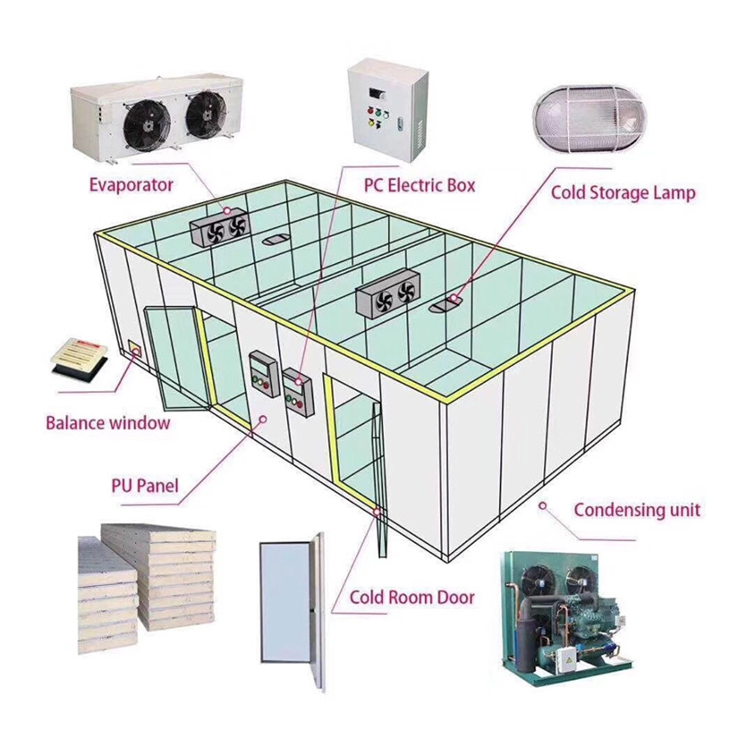 Sala de almacenamiento en frío de pequeña a gran capacidad para diversas aplicaciones