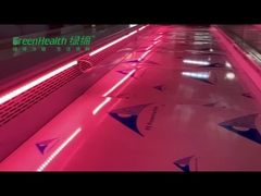 Acero inoxidable del congelador de la exhibición de la carne fresca del supermercado para el restaurante