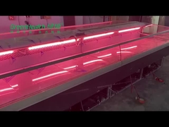 Refrigerador fresco de acero inoxidable de la carne de la tienda de delicatessen de los pescados para el carnicero Shop