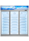 Exhibición congelada congelador de cristal vertical de la puerta para la carne congelada del helado