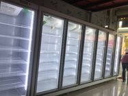 El auto descongela el congelador vertical comercial de la exhibición de la puerta doble para la carne