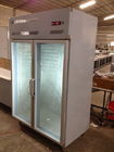 Congelador vertical comercial vertical con el refrigerante grande R134/R404 de la capacidad