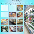 El supermercado profesional proyecta los equipos de refrigeración para las frutas/verdura