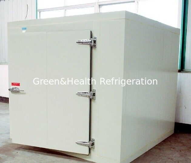 Trastero frío comercial para los pescados/el paseo refrigerado por agua en un congelador más desapasible