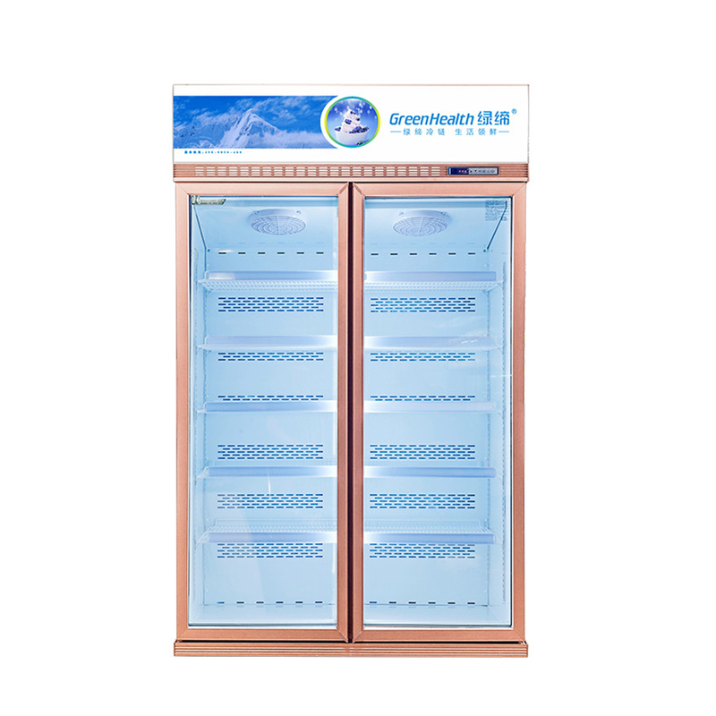 Ahorro de energía Display comercial personalizable congelador para la conservación de productos alimenticios