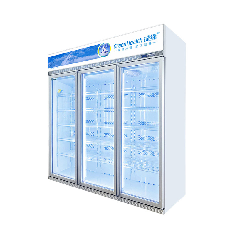 Ahorro de energía Display comercial personalizable congelador para la conservación de productos alimenticios