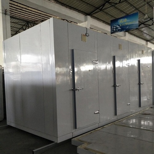 Cuarto de almacenamiento en frío Cooler de entrada en marcha Congelador con sistema de refrigeración