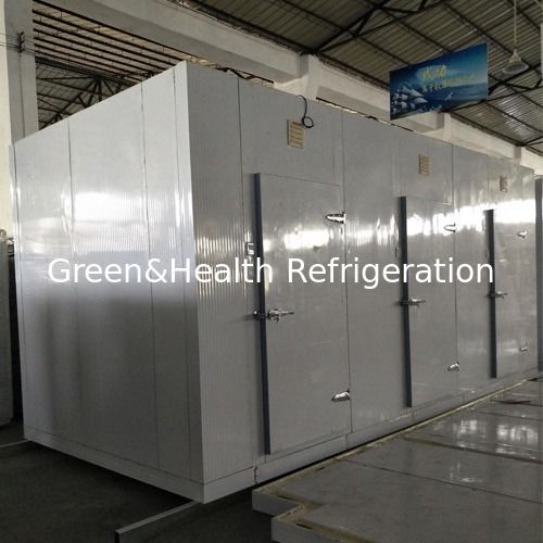 Commercial Walk-In Cooler & Freezer con dimensiones personalizables aislamiento de poliuretano de alta densidad y compresor de Copeland