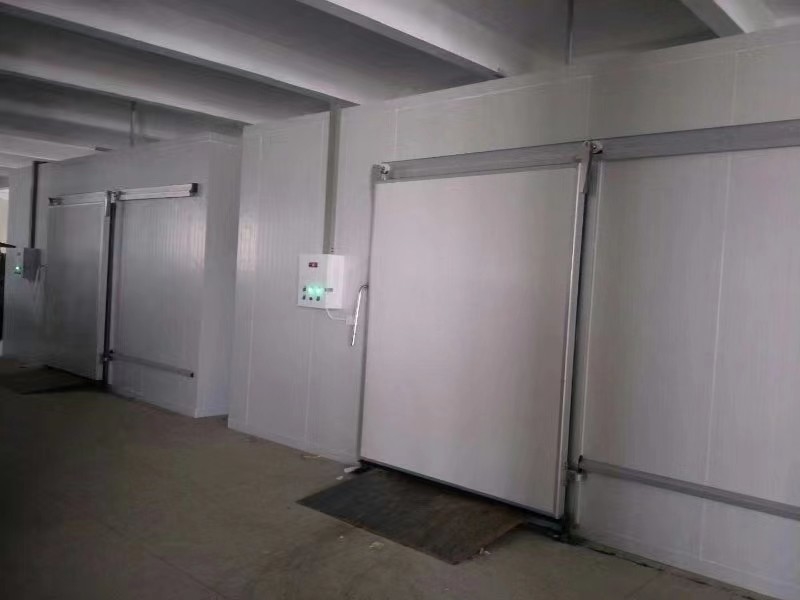 Cuarto de almacenamiento en frío personalizado para la congelación de pescado y carne con sistema de control automático