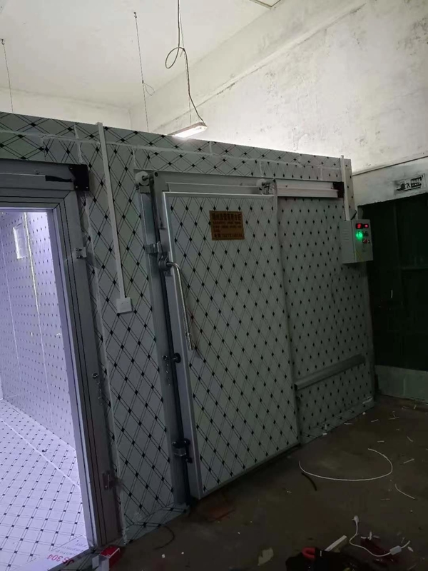 Cuarto de almacenamiento en frío personalizado para la congelación de pescado y carne con sistema de control automático