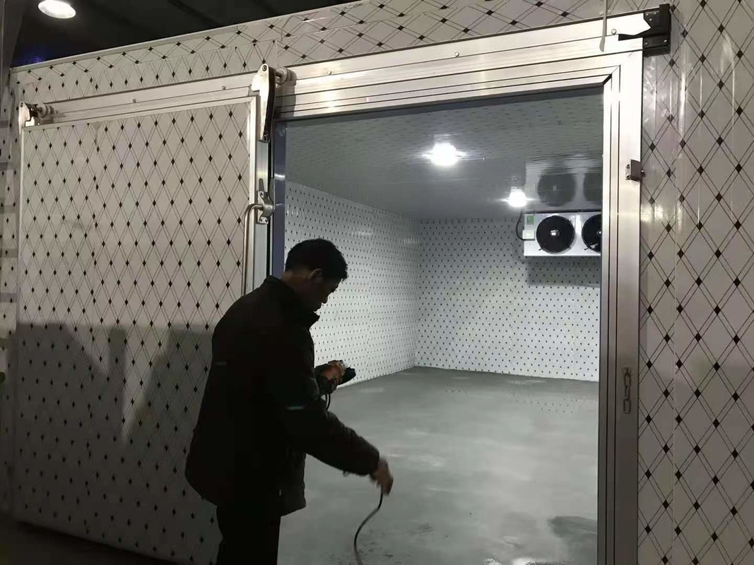 Cuarto de almacenamiento en frío personalizado para la congelación de pescado y carne con sistema de control automático