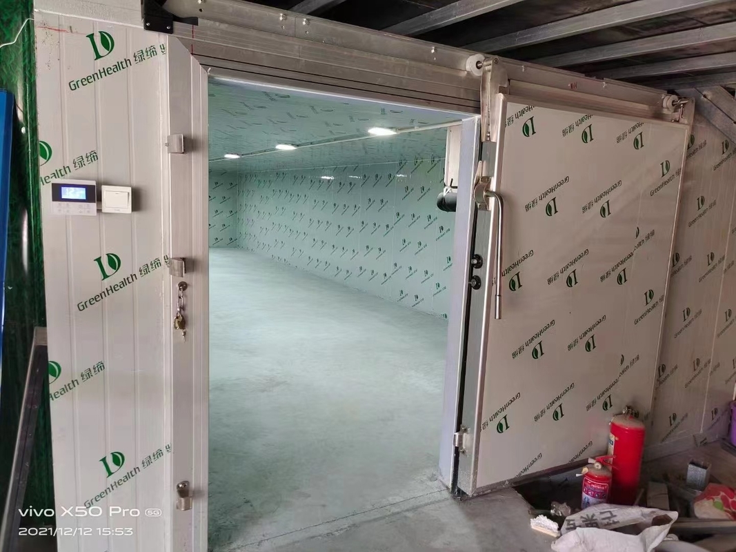 Cuarto de almacenamiento en frío personalizado para la congelación de pescado y carne con sistema de control automático