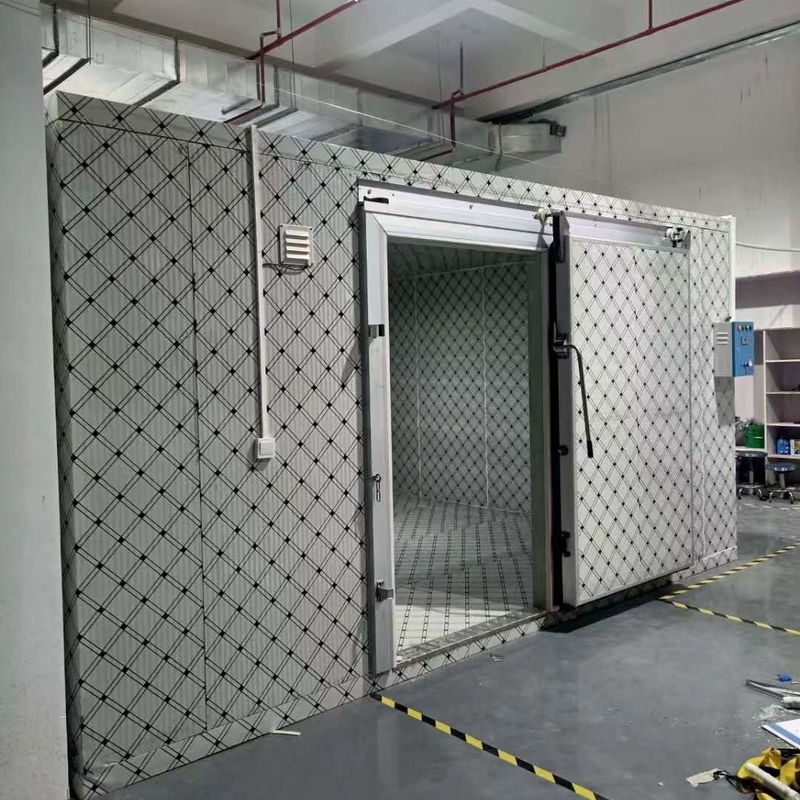 Cuarto de almacenamiento en frío personalizado para la congelación de pescado y carne con sistema de control automático