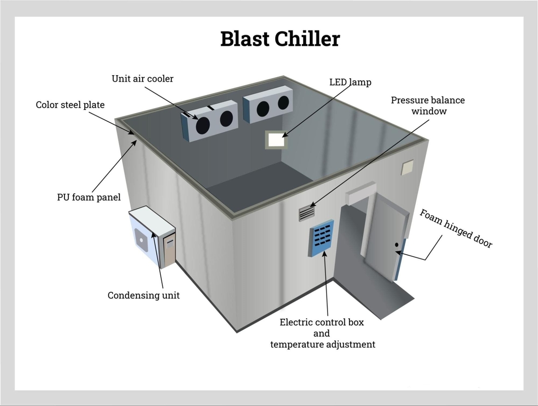 Cuarto de almacenamiento en frío Cooler de entrada en marcha Congelador con sistema de refrigeración