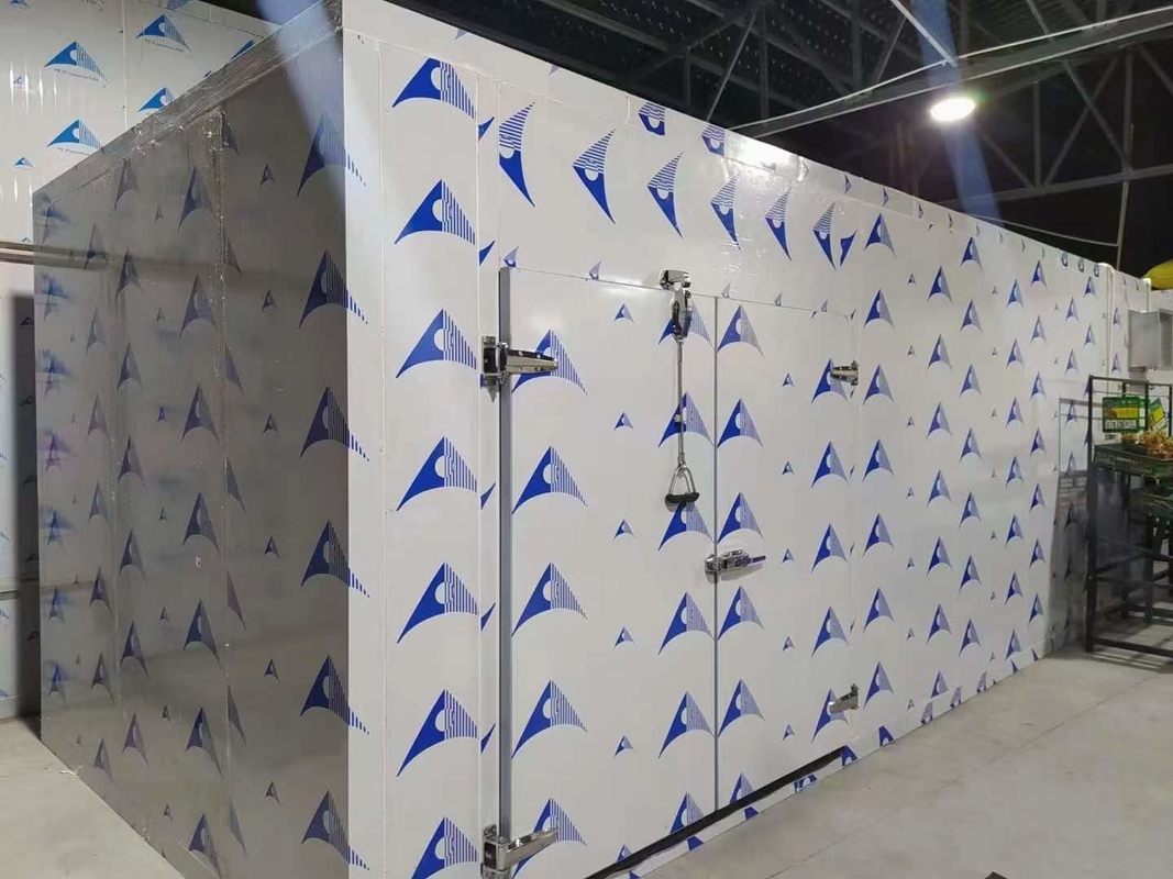 Refrigerador personalizado de entrada a pie Sala de almacenamiento de frutas y verduras