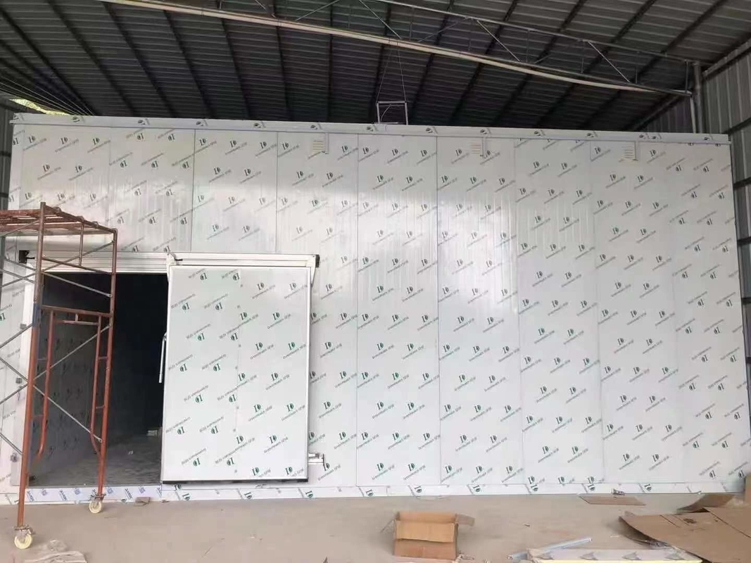 Verduras y frutas almacenamiento en frío habitación fría paseo en congelador con unidad de condensación Copeland