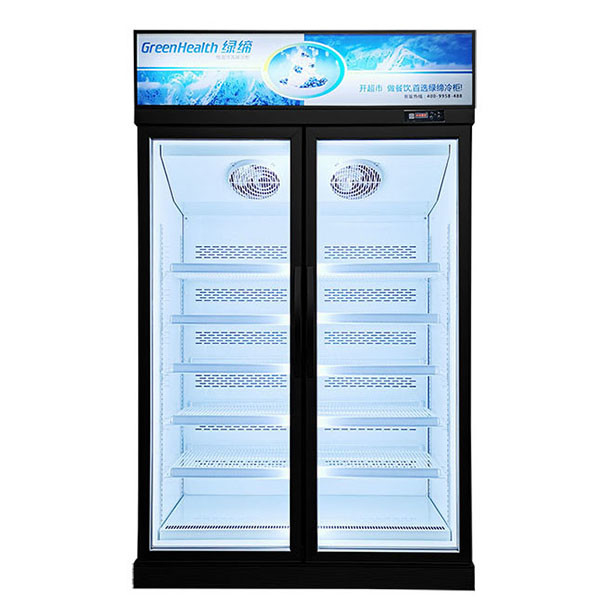 Comerciante de baja temperatura congelado congelador de almacenamiento para la unidad superior a la venta