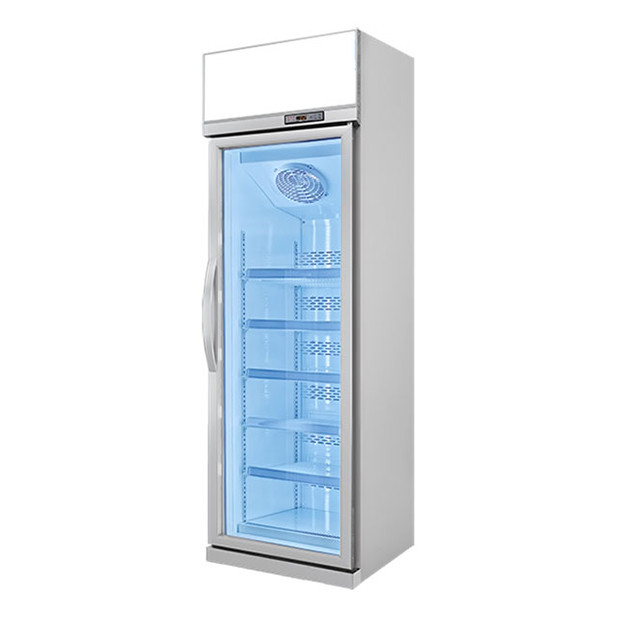 Unidad superior Puerta de vidrio única Estantes múltiples Almacenamiento congelado de lujo Display congelador congelador