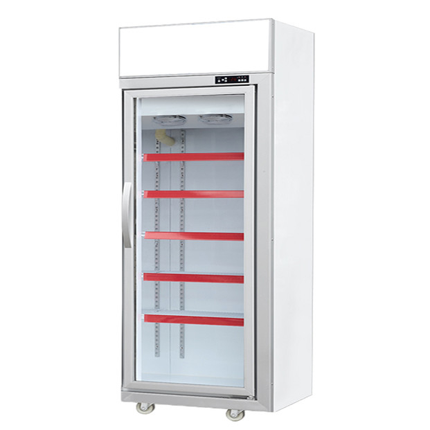 Supermercado comercial / tienda con puertas de vidrio equipadas con refrigeradores de exhibición de congelación