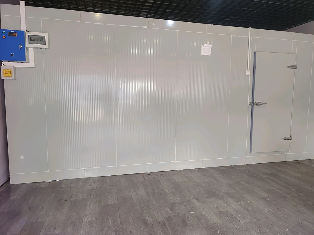 Almacenamiento a granel Almacenamiento en frío Habitaciones de almacenamiento en frío con sistema de refrigeración de habitación fría