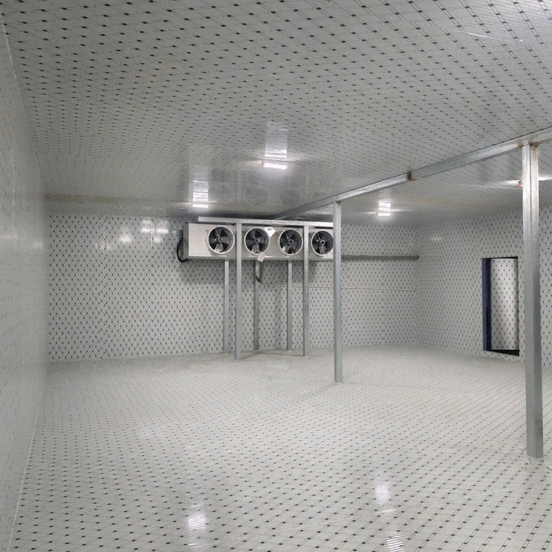 Sala de almacenamiento de alimentos de gran capacidad Sala de almacenamiento en frío con sistema de refrigeración