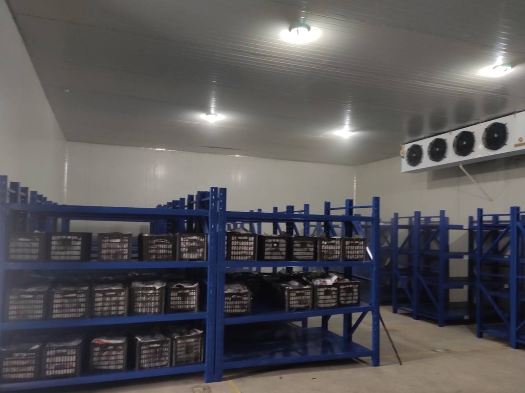 Unidad frigorífica de almacenamiento en frío de tamaño pequeño Precio de la unidad frigorífica de almacenamiento en frío para carne y mariscos