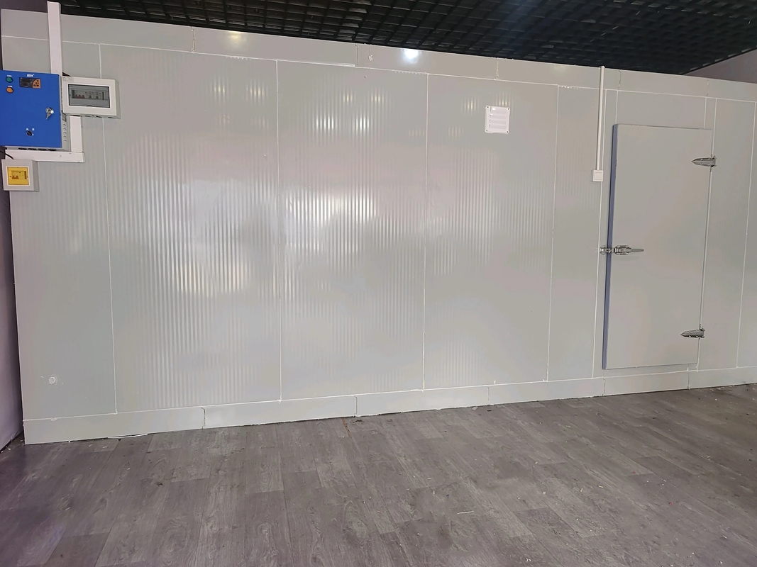 Comercial Paseo en el cuarto frío congelador PU panel aislado puerta giratoria rápida instalación mariscos