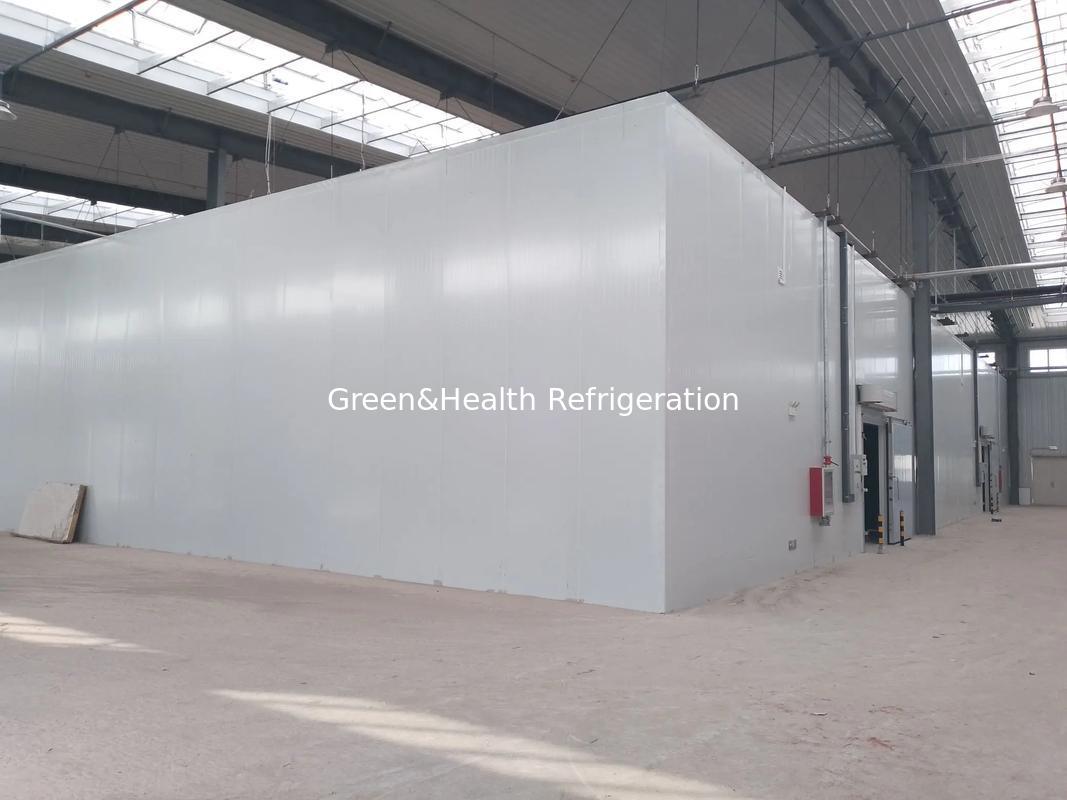 Cámara de paso de diseño modular, panel de PU, almacenamiento en frío, refrigerador, almacén en venta