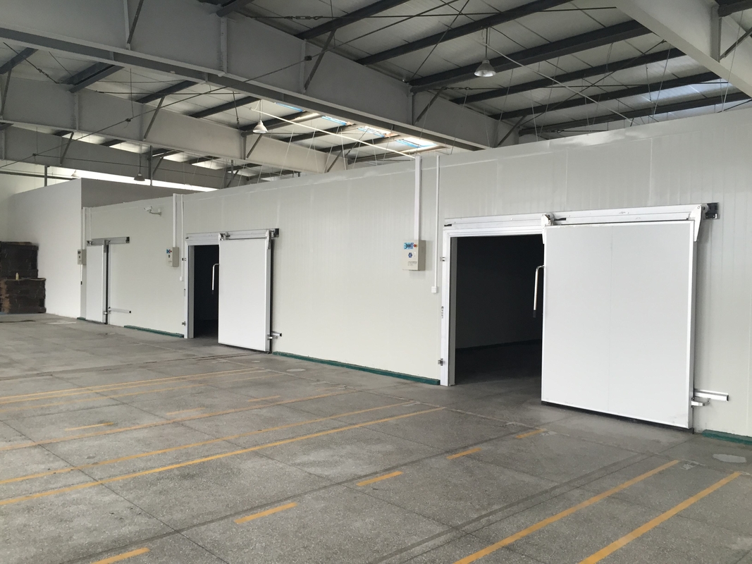 Comercial Paseo en el cuarto frío congelador PU panel aislado puerta giratoria rápida instalación mariscos