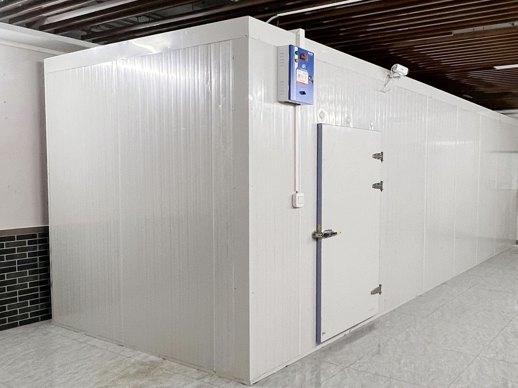 Comercial Paseo en el cuarto frío congelador PU panel aislado puerta giratoria rápida instalación mariscos