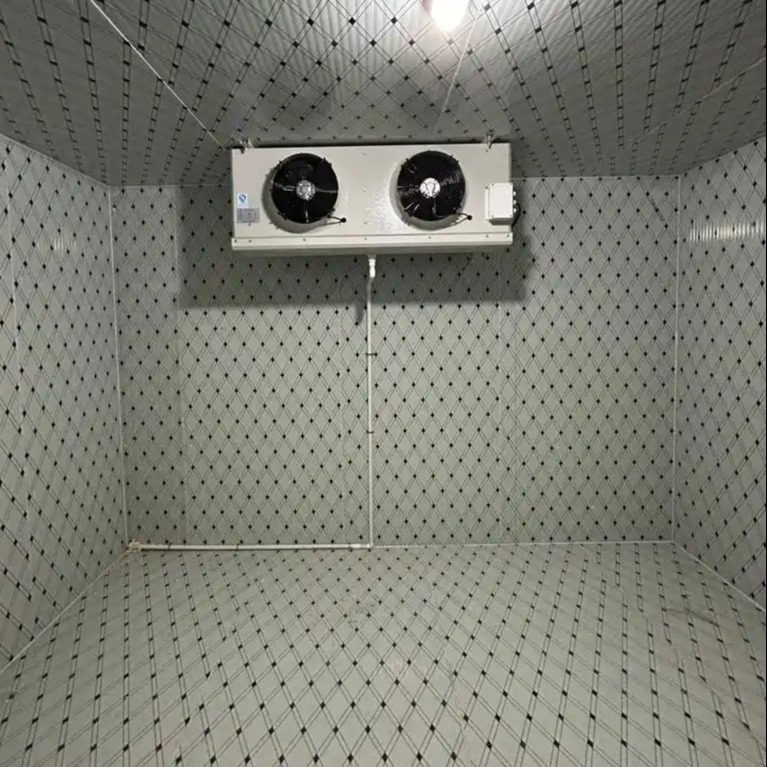 Comercial Paseo en el cuarto frío congelador PU panel aislado puerta giratoria rápida instalación mariscos