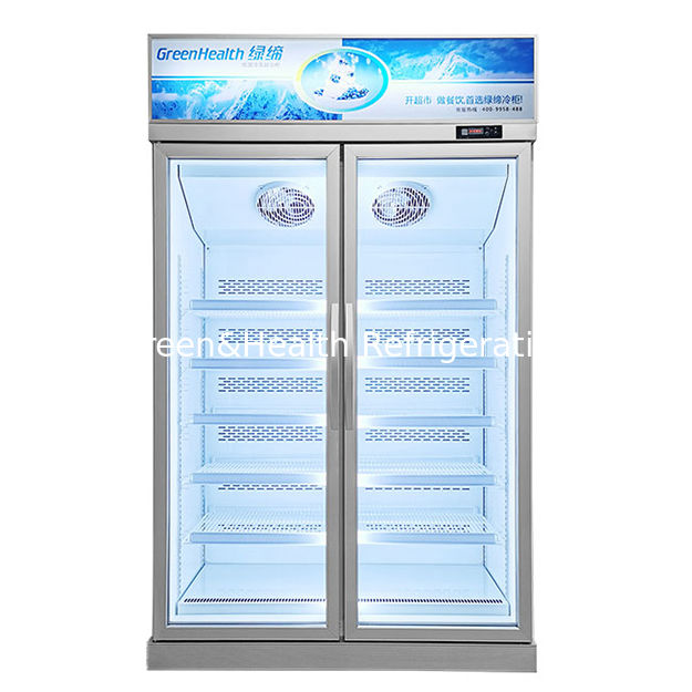 Congelador comercial de puertas de vidrio con refrigerante R290 Puerta de vidrio de bajo contenido y iluminación LED para almacenamiento de productos congelados