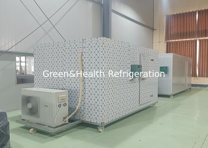 Customizable Size Cold Room Walk In Freezer With PU Panel And Condenser Unit