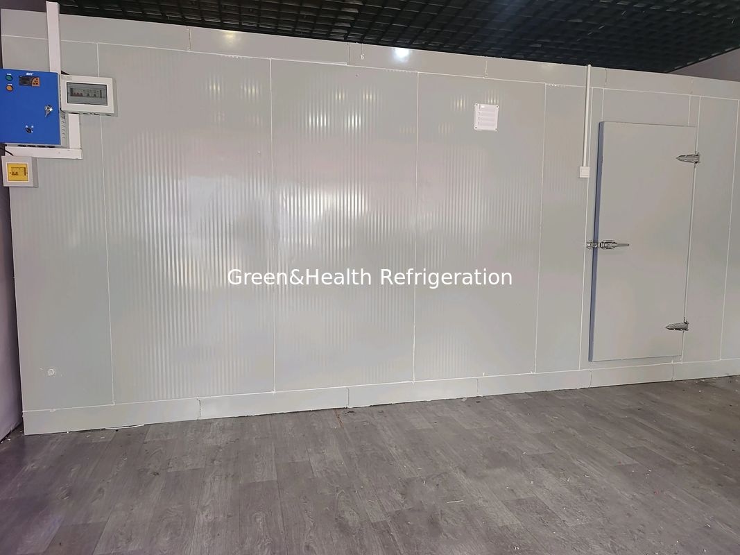 Customizable Size Cold Room Walk In Freezer With PU Panel And Condenser Unit