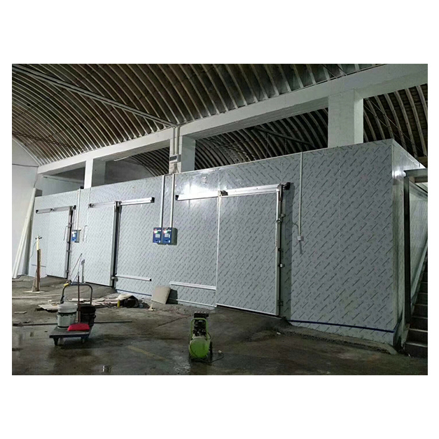 Meat Cold Storage Room Walk In Freezer With Insulation Panels For Meat And Seafood
