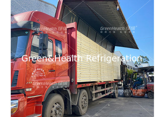 Auto descongelador congelador cuarto frío para carne cordero camarón almacenamiento paseo en el enfriador