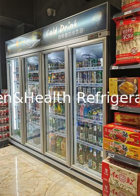 Refrigeradores con pantalla de vidrio vertical de puertas dobles para el mercado pequeño