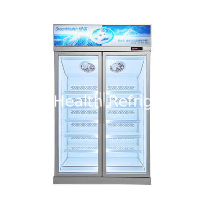 Tienda de cadena de almacenamiento con estantería ajustable 2 puerta de vidrio congelador para alimentos congelados con ventilador de refrigeración