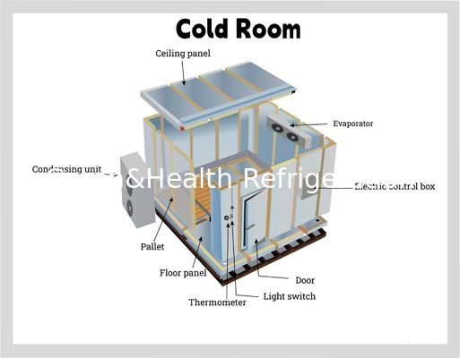 Panel de PU Comida Almacenamiento en frío Restaurante Cocina comercial Camina en congelador
