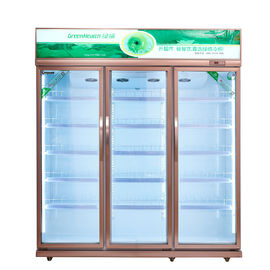 Congelador vertical comercial de la exhibición con la baja temperatura para los mariscos de la carne