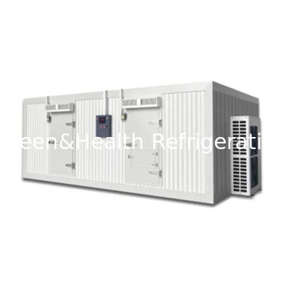 Sala de almacenamiento en frío eficiente energéticamente con paneles de PU de alto rendimiento