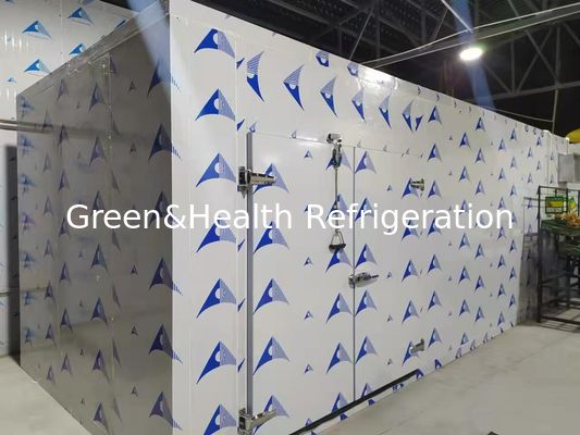 Sala de frío eficiente energéticamente con paneles de PU de alto rendimiento